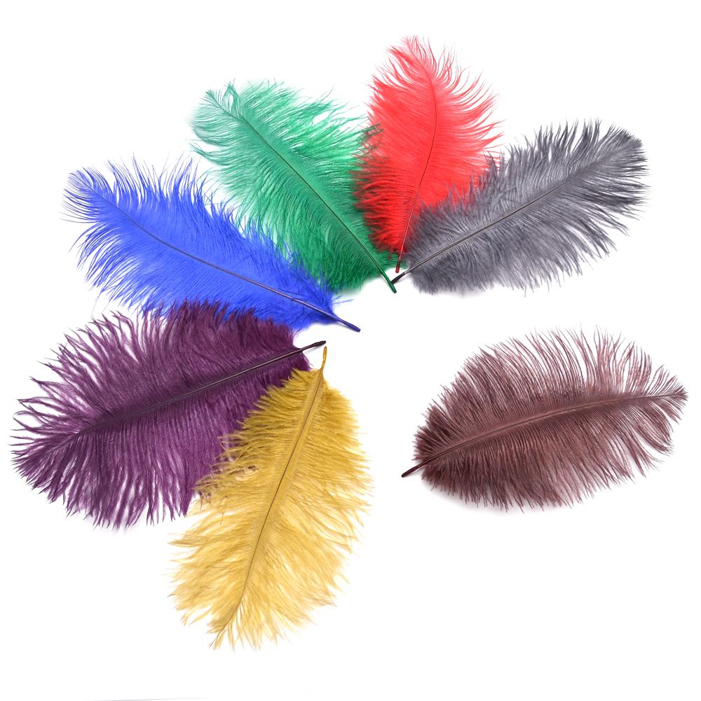 Plumas de avestruz macho en colores - PLUMASEVILLA venta de plumas