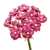 110-FUCSIA BUGANVILLA
