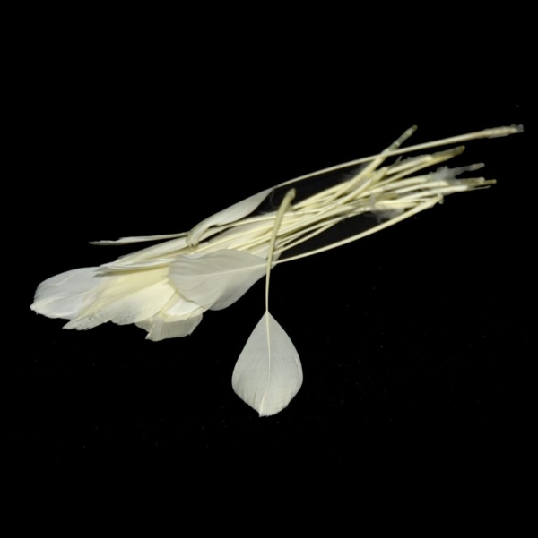 Pluma Antena oca 15 cm, 20 Unid. - 026-BEIGE