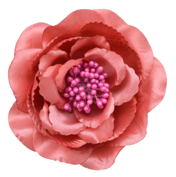 Flor Kenia - 096-ROSA PALO