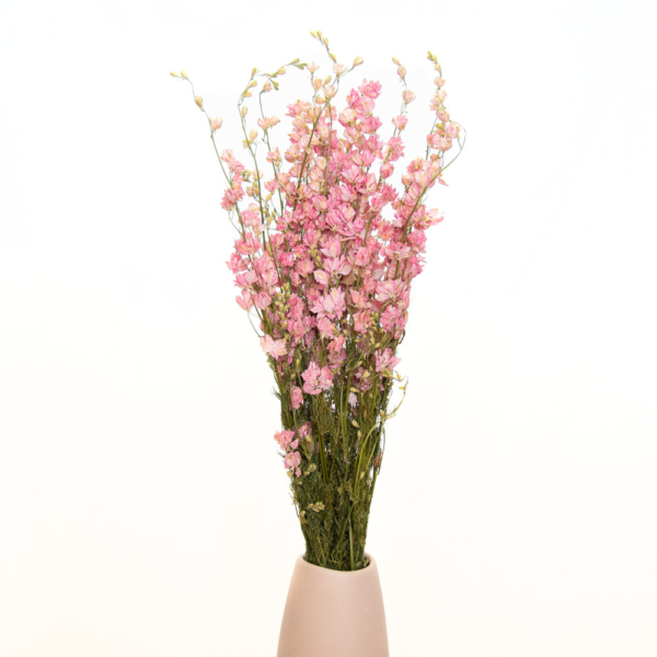 Flor Delphinium Seca y Preservada - 105-ROSA EMPOLVADO