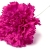 108-FUCSIA