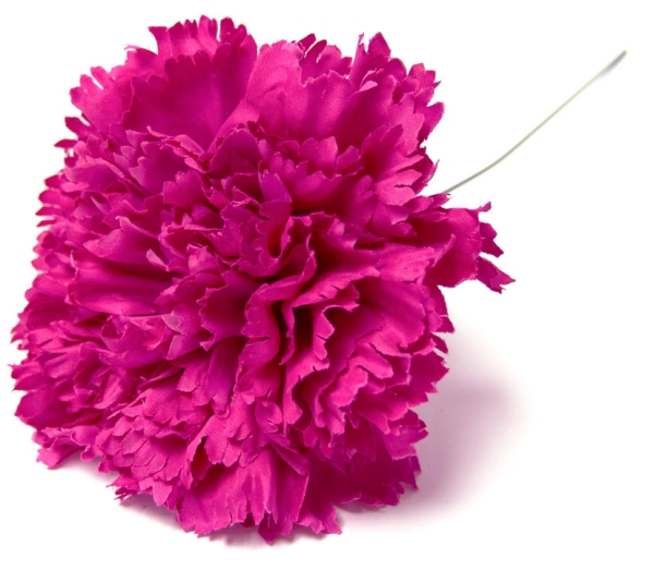 Clavel de Feria - 108-FUCSIA