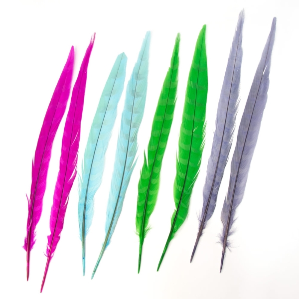 Pluma Faisan Lady Deco con Taras, 2und.