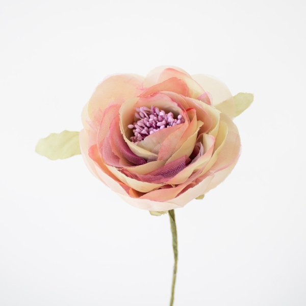 flor color beige dorado y rosa