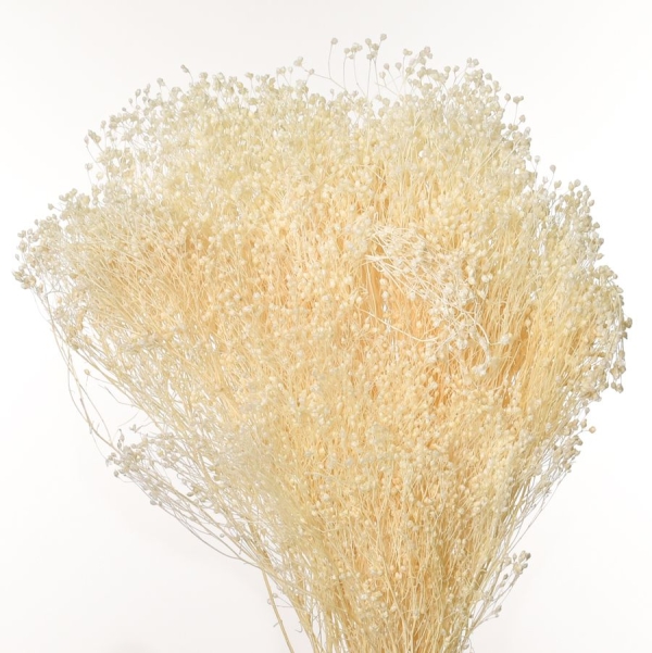 Ramo de Flores Preservadas Brooms - 003-CRUDO