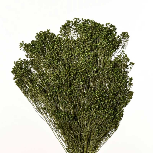 Ramo de Flores Preservadas Brooms - 170-VERDE