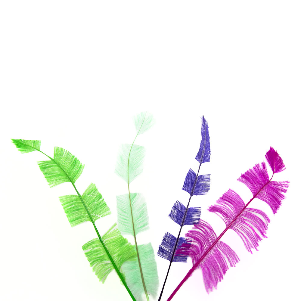 Pluma Avestruz Flecha 25-35 cm.