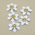 002-BLANCO