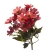 652-ROJO & CORAL