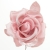 089-ROSA BEBE EMPOLVADO