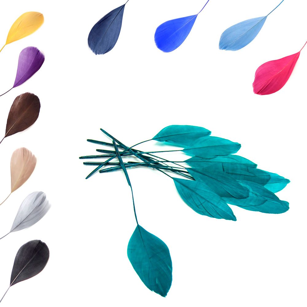 Pluma Antena oca Raspada, 10 Unidades.