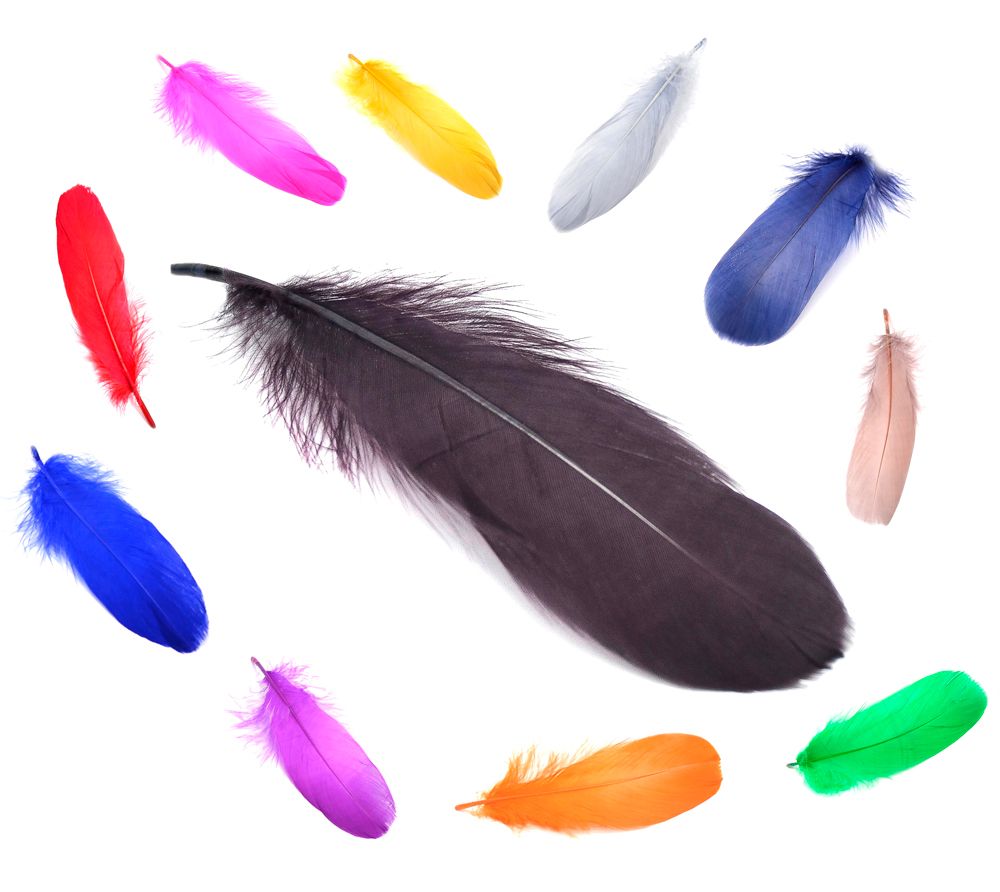 Pluma oca de 15-20 cm, 20 Unid.