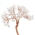 250-TRANSPARENTE