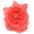 075-CORAL