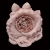 102-ROSA VINTAGE
