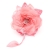 091-ROSA