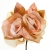 691-ROSA NUDE & BEIGE DORADO