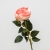 091-ROSA