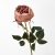 102-ROSA VINTAGE
