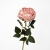 105-ROSA EMPOLVADO