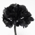 001-NEGRO