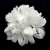 005-BLANCO ROTO