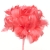 075-CORAL