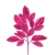 110-FUCSIA BUGANVILLA