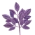 132-MORADO