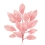 091-ROSA