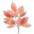 097-ROSA CORAL