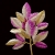 607-BEIGE DORADO & FUCSIA