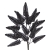 001-NEGRO