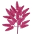 110-FUCSIA BUGANVILLA
