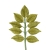 185-VERDE HOJA