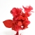 070-ROJO