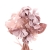 102-ROSA VINTAGE