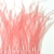 075-CORAL