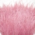 092-ROSA MAQUILLAJE