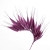 132-MORADO