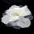 002-BLANCO