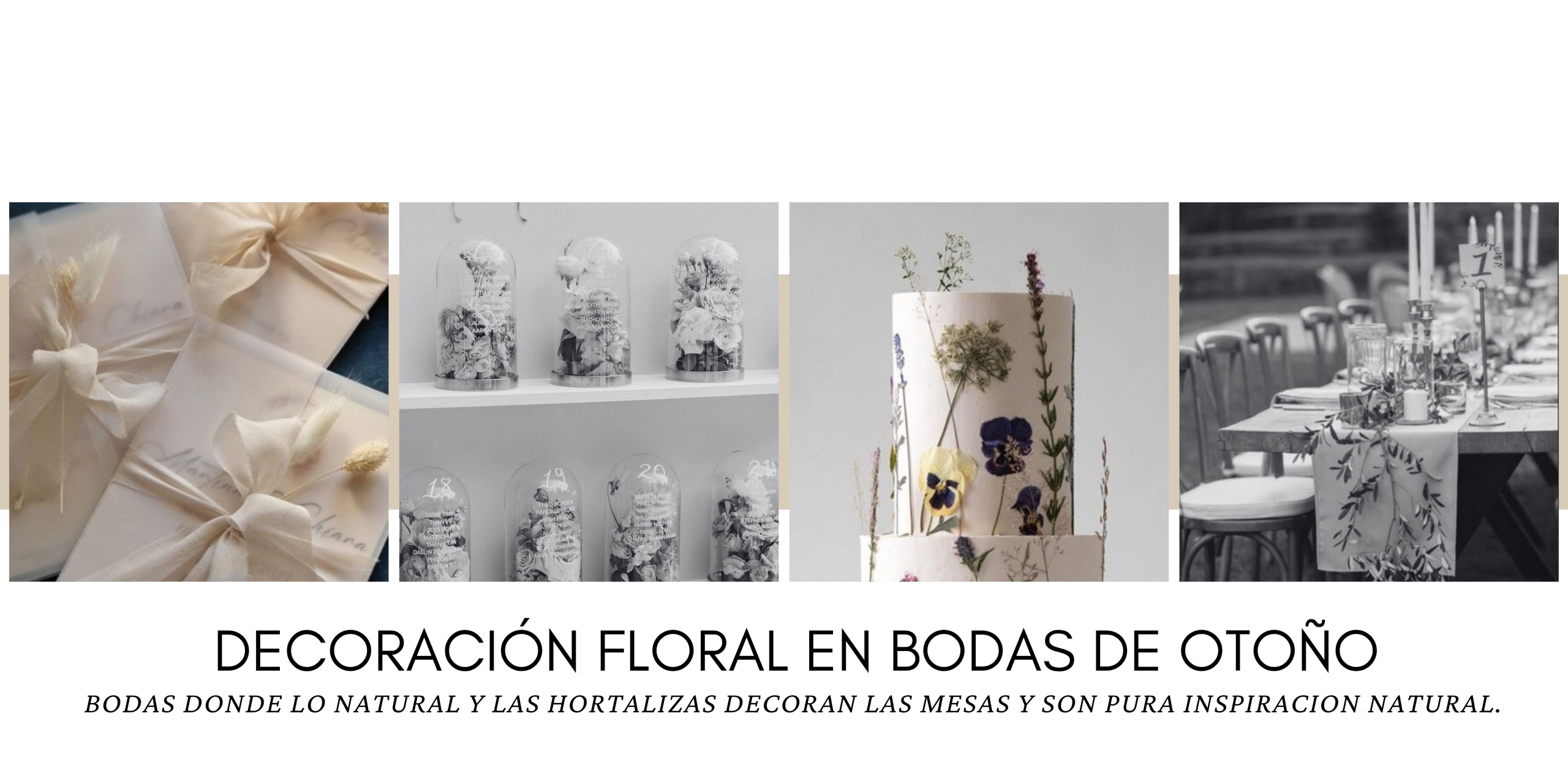 Decoración floral en bodas de otoño: tendencias 2024-2025
