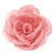 091-ROSA
