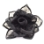 001-NEGRO