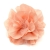 099-ROSA SALMON