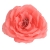 075-CORAL