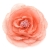 092-ROSA MAQUILLAJE