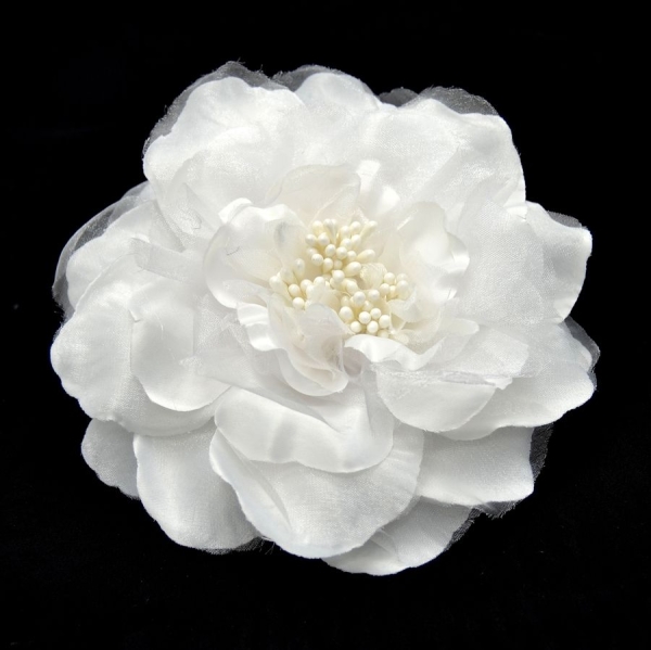 Flor Zambia - 002-BLANCO