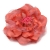 075-CORAL